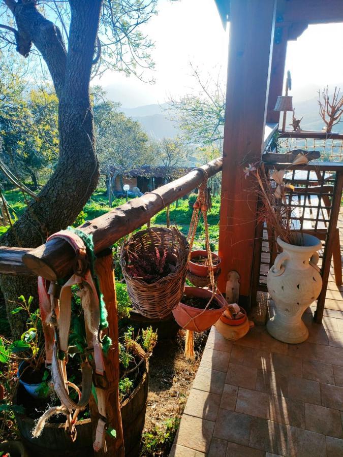 Room In Casa Castiglia A Woodhouse With Beautiful View Close Madonie Park Castelbuono (Sicily) Exterior foto